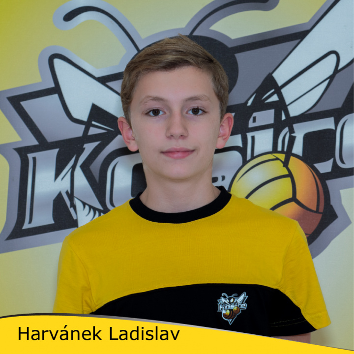 Ladislav Harvánek